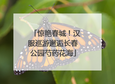 惊艳春城！汉服巡游邂逅长春公园芍药花海