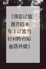 我爱辽篮 蓄芳待来年丨辽篮当针对阵容短板选外援