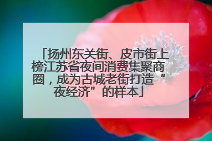 扬州东关街、皮市街上榜江苏省夜间消费集聚商圈，成为古城老街打造“夜经济”的样本