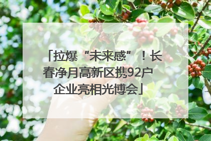拉爆“未来感”！长春净月高新区携92户企业亮相光博会
