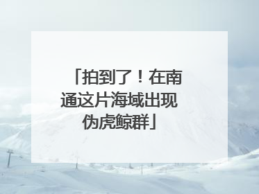 拍到了！在南通这片海域出现伪虎鲸群