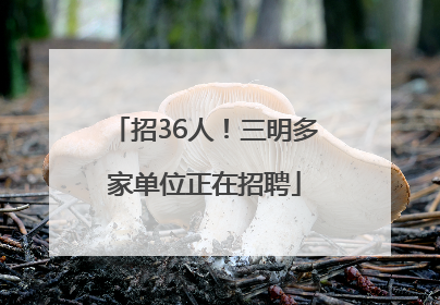 招36人！三明多家单位正在招聘