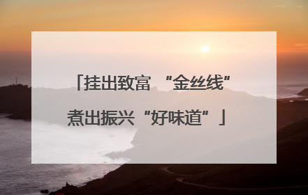 挂出致富 “金丝线” 煮出振兴“好味道”