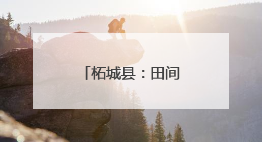 柘城县：田间管理送地头 抗旱保苗保丰收