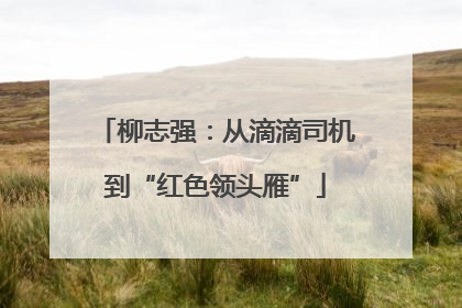 柳志强：从滴滴司机到“红色领头雁”
