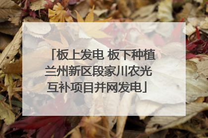 板上发电 板下种植 兰州新区段家川农光互补项目并网发电