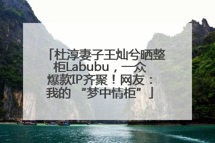 杜淳妻子王灿兮晒整柜Labubu，一众爆款IP齐聚！网友：我的 “梦中情柜”
