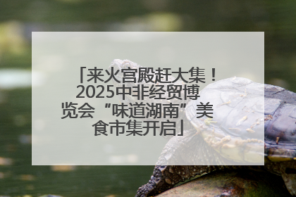 来火宫殿赶大集！2025中非经贸博览会“味道湖南”美食市集开启