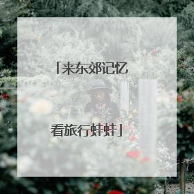 来东郊记忆 看旅行蛙蛙