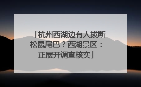 杭州西湖边有人拔断松鼠尾巴？西湖景区：正展开调查核实