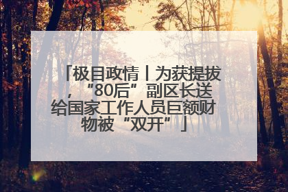 极目政情丨为获提拔，“80后”副区长送给国家工作人员巨额财物被“双开”