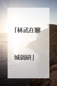 林武在聊城调研