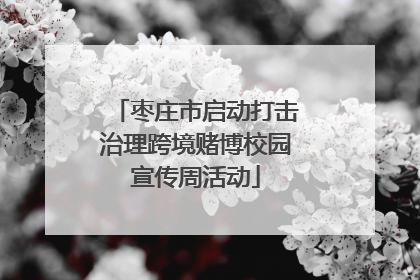 枣庄市启动打击治理跨境赌博校园宣传周活动