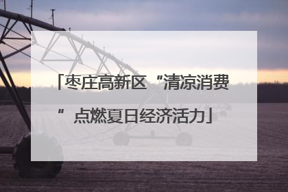 枣庄高新区“清凉消费”点燃夏日经济活力