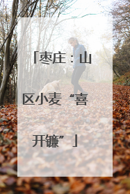 枣庄：山区小麦“喜开镰”