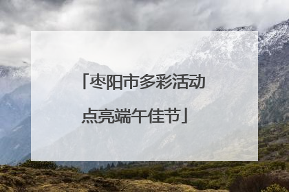 枣阳市多彩活动点亮端午佳节