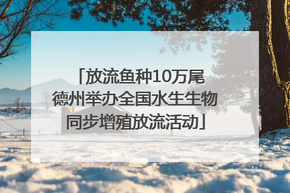 放流鱼种10万尾 德州举办全国水生生物同步增殖放流活动