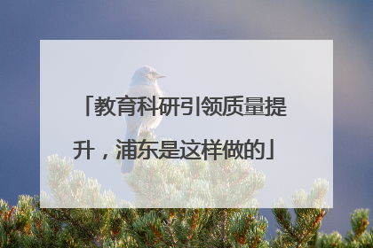 教育科研引领质量提升，浦东是这样做的