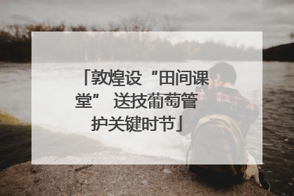 敦煌设“田间课堂” 送技葡萄管护关键时节