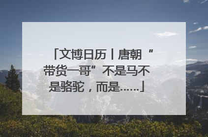 文博日历丨唐朝“带货一哥”不是马不是骆驼，而是……