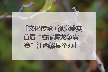 文化传承+视觉盛宴 首届“客家舞龙争霸赛”江西赣县举办