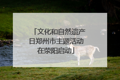 文化和自然遗产日郑州市主题活动在荥阳启动