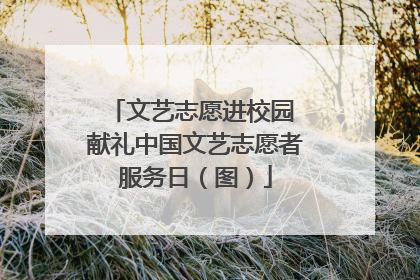 文艺志愿进校园 献礼中国文艺志愿者服务日（图）