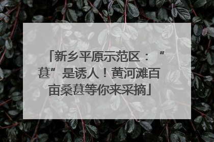 新乡平原示范区：“葚”是诱人！黄河滩百亩桑葚等你来采摘