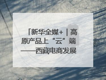 新华全媒+｜高原产品上“云”端——西藏电商发展一线观察