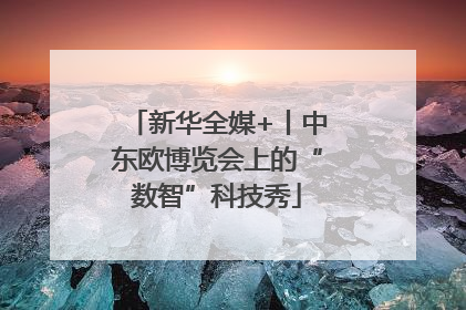 新华全媒+丨中东欧博览会上的“数智”科技秀