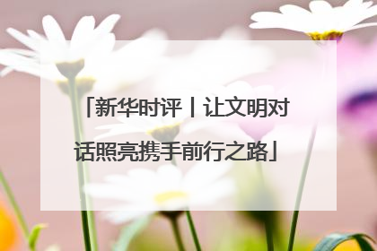 新华时评丨让文明对话照亮携手前行之路