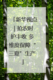 新华视点｜抢农时 护丰收 多维度保障“三夏”生产