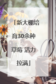 新大棚培育30余种草莓 活力拉满