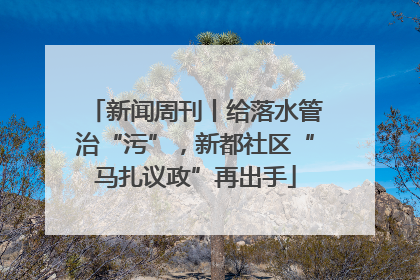 新闻周刊丨给落水管治“污”，新都社区“马扎议政”再出手