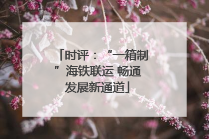 时评：“一箱制”海铁联运 畅通发展新通道