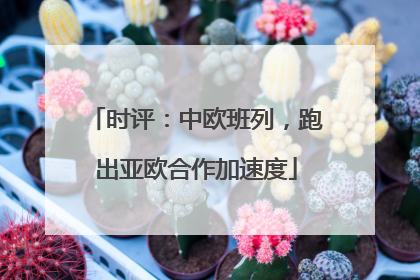 时评：中欧班列，跑出亚欧合作加速度