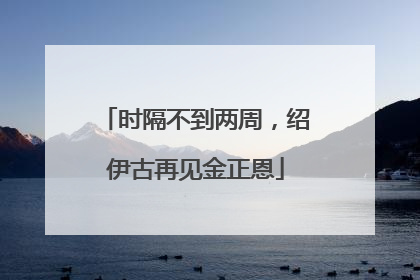 时隔不到两周，绍伊古再见金正恩