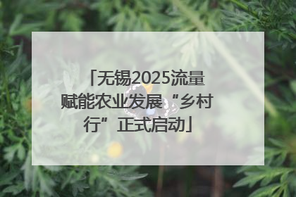 无锡2025流量赋能农业发展“乡村行”正式启动
