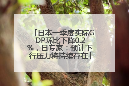 日本一季度实际GDP环比下降0.2%，日专家：预计下行压力将持续存在