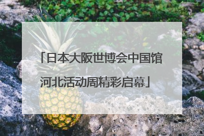 日本大阪世博会中国馆河北活动周精彩启幕