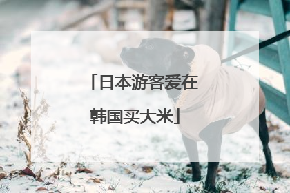 日本游客爱在韩国买大米