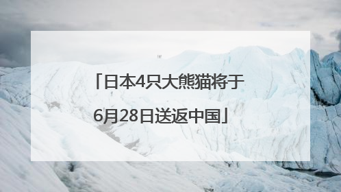 日本4只大熊猫将于6月28日送返中国