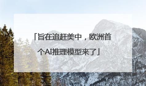 旨在追赶美中，欧洲首个AI推理模型来了