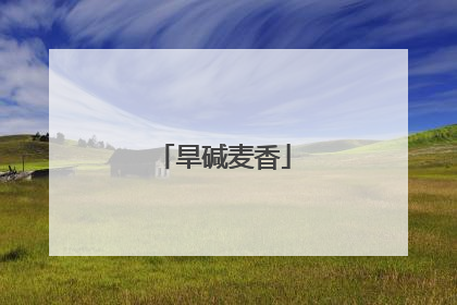 旱碱麦香