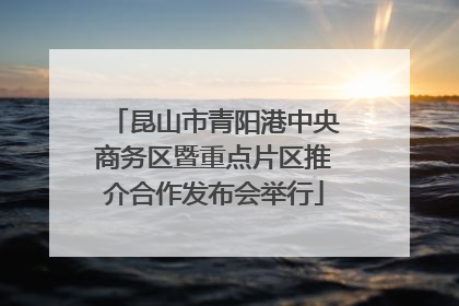 昆山市青阳港中央商务区暨重点片区推介合作发布会举行