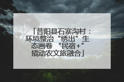 昔阳县石寨沟村：环境整治“绣出”生态画卷 “民宿+”撬动农文旅融合
