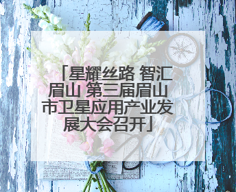星耀丝路 智汇眉山 第三届眉山市卫星应用产业发展大会召开