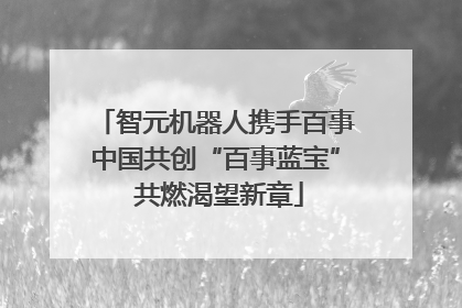 智元机器人携手百事中国共创“百事蓝宝” 共燃渴望新章