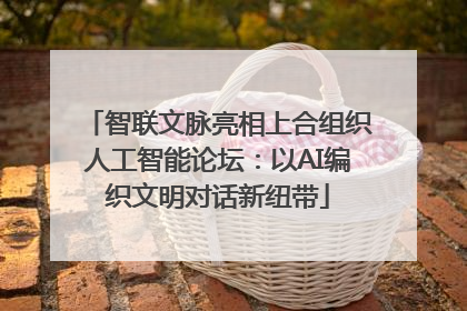 智联文脉亮相上合组织人工智能论坛：以AI编织文明对话新纽带
