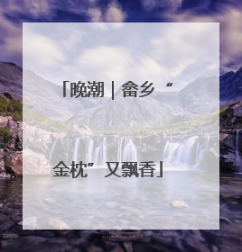 晚潮｜畲乡“金枕”又飘香
